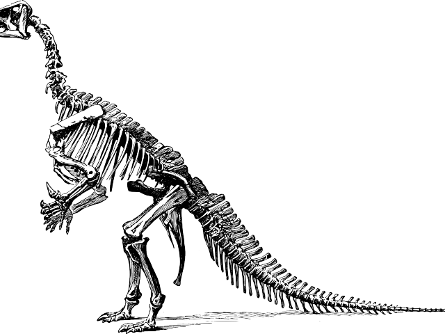 Velociraptor Clipart Cute Dinosaur - Dinosaurs Didn T Read Now They Are Extinct (640x480), Png Download
