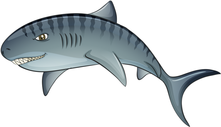 Tiger Shark Leap Transprent - Tiger Shark Vector (800x476), Png Download