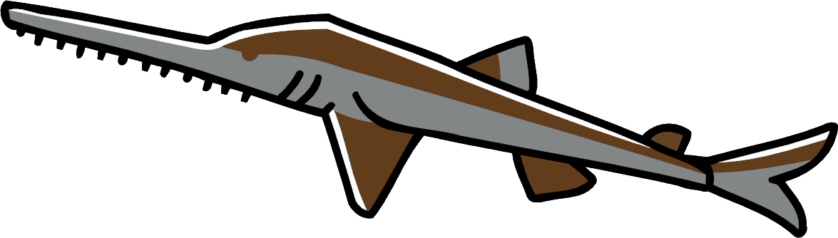 Saw Shark - Sawshark Image Transparent Background (1175x334), Png Download