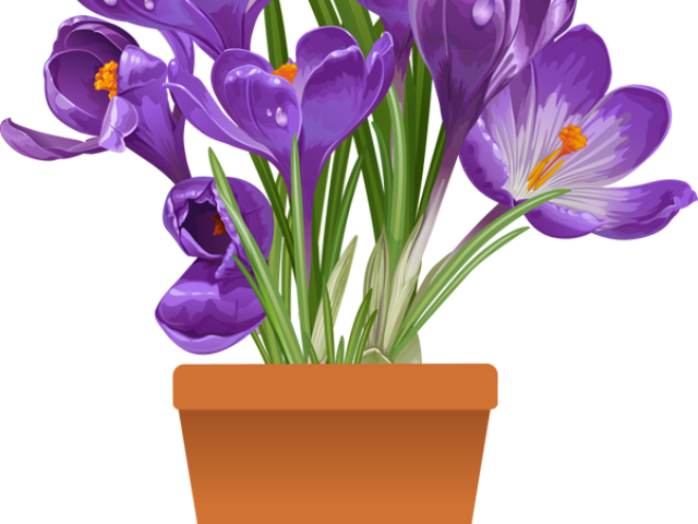 Original - Spring Flower Pot Png (640x480), Png Download