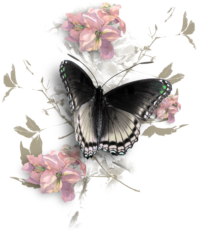 Яндекс - Фотки - - Clipart Butterfly Illustration, - Red Spotted Purple Butterfly (665x800), Png Download