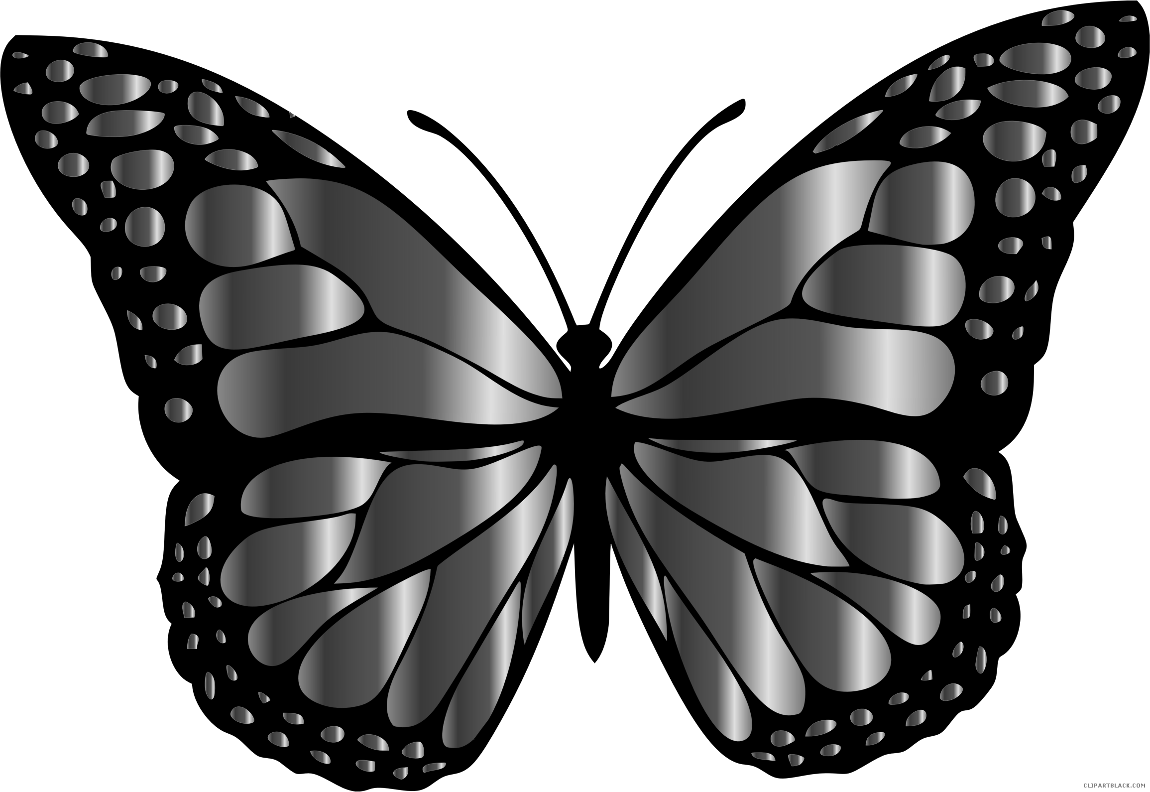 Monarch Butterfly Clipart Black And White - Insects Clipart (2310x1590), Png Download