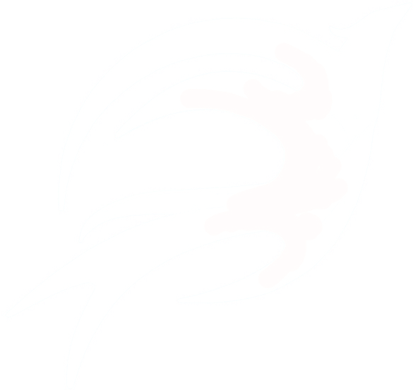 Fenix Social Design Fenix Social Design - Illustration (620x620), Png Download