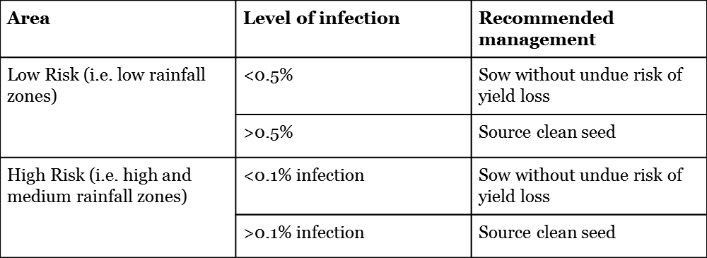 Infection Levels Rules Of Thumb - Number (1000x365), Png Download