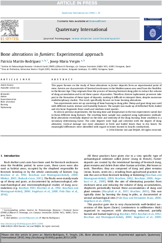 Pdf - Fungi From Palm Xxxx Pdf (595x794), Png Download