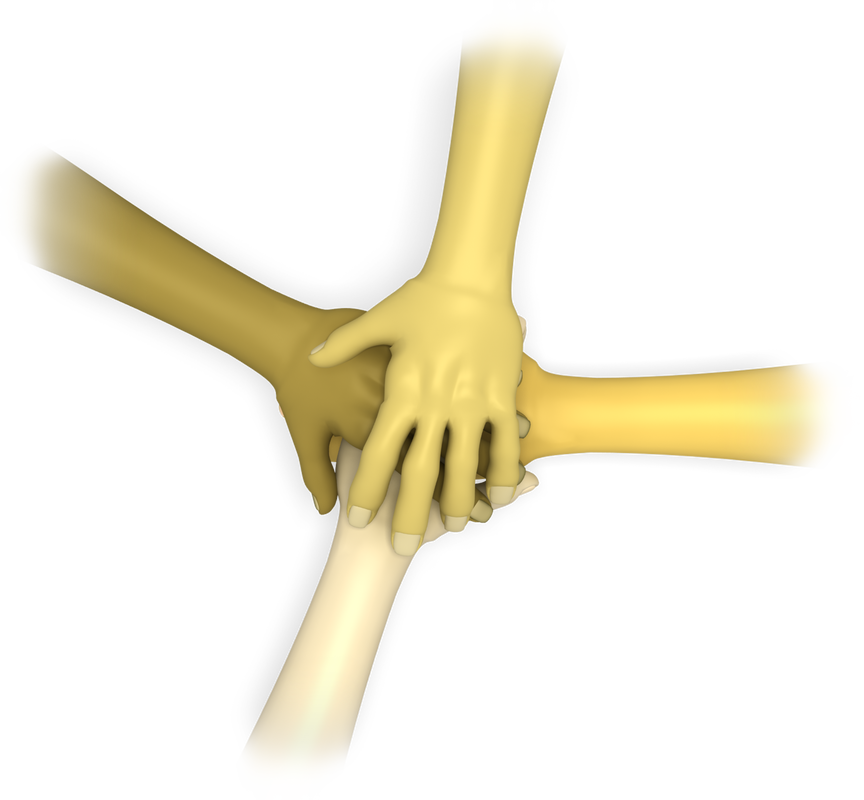 Consensus - Bone (864x800), Png Download