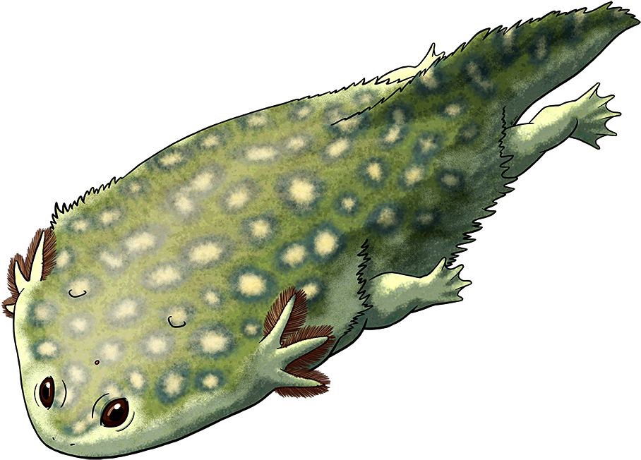 Tumblr Oc1q0ily511s5f2yxo1 1280 - Plagiosaurus (950x686), Png Download