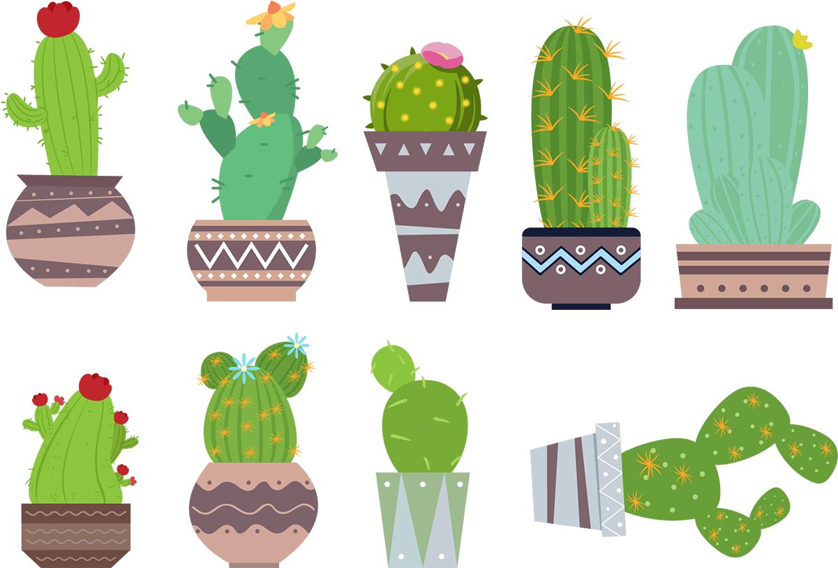 Cactus Png Tumblr (1200x1200), Png Download