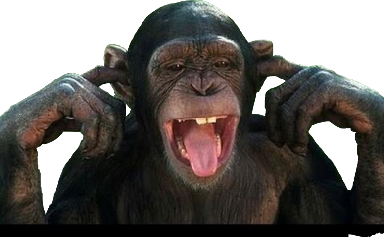 Sarah Hanson Young Memes (776x480), Png Download