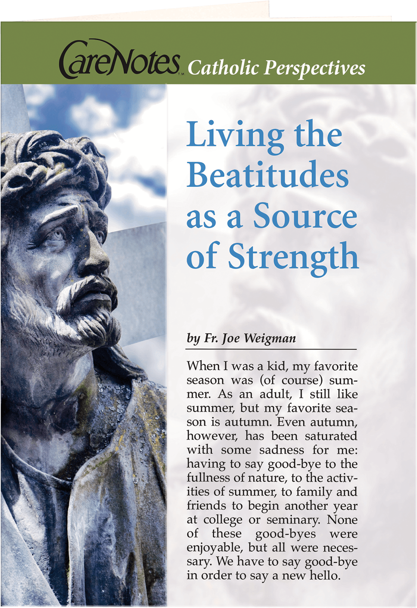 20966 Standing - Mountain Gorilla (1936x2592), Png Download