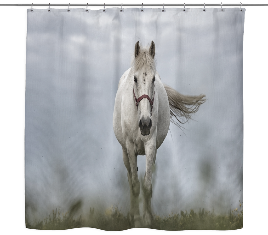 White Horse - Mane (1024x1024), Png Download