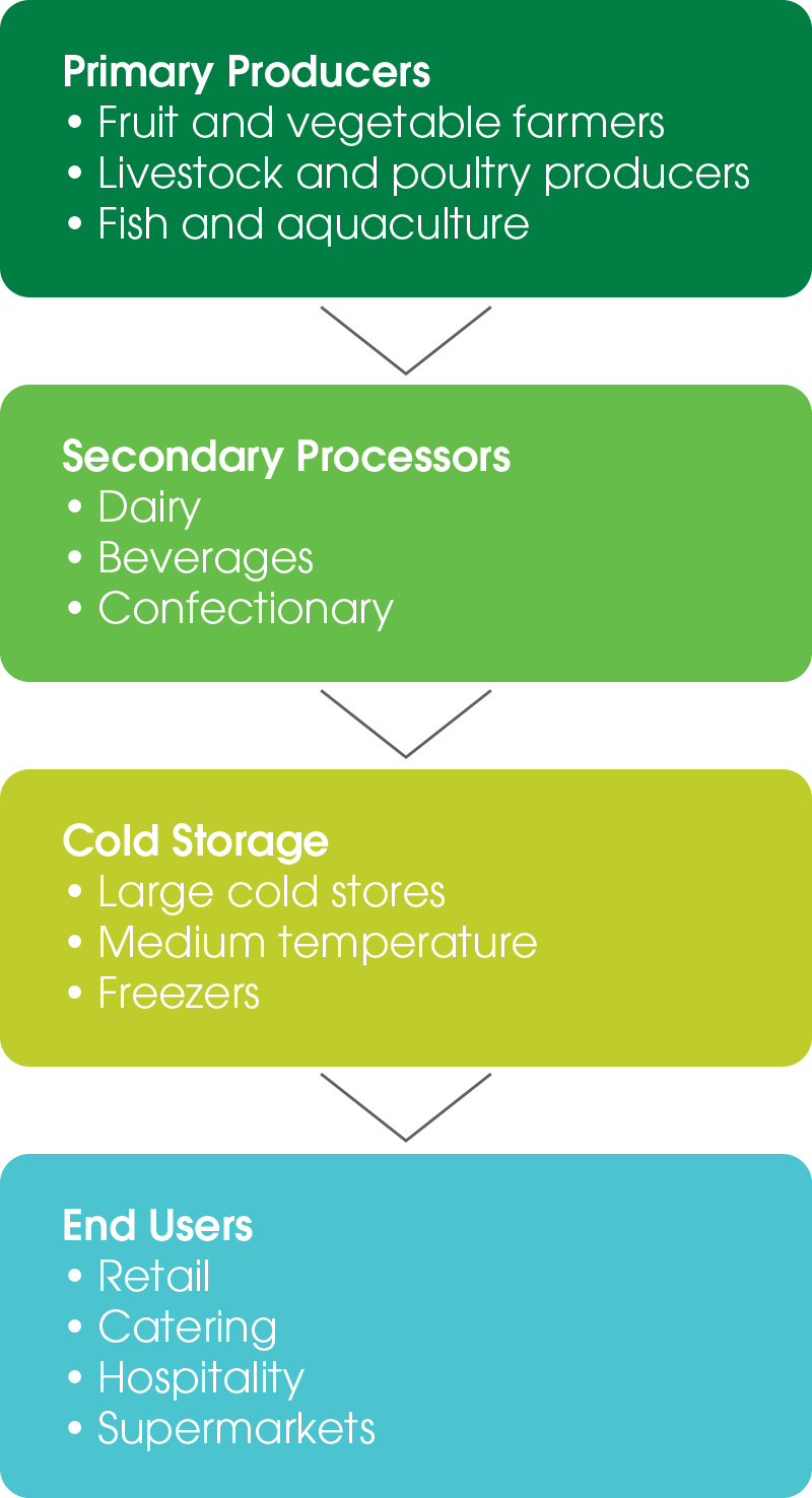 The Cold Chain - Colorfulness (800x1476), Png Download