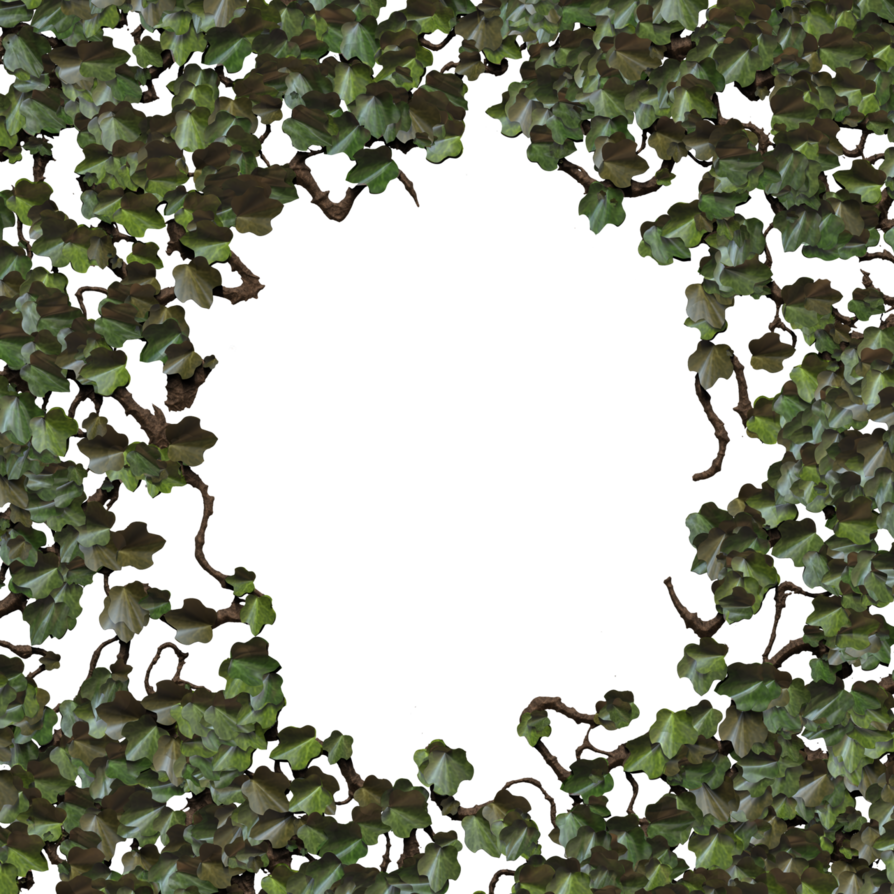 Vine (894x894), Png Download