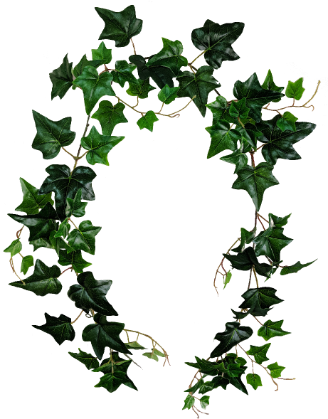 S9811uvgreen Uv Protected Green Ivy Garland - Rose (800x600), Png Download