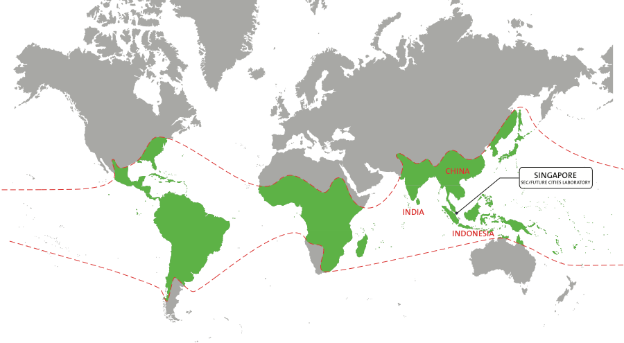 Bamboo In Green Design - World Map Single Color (900x495), Png Download