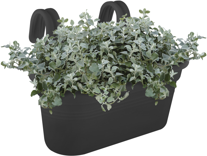 Home > Collection > Green Basics Easy Hanger - Flowerpot (750x750), Png Download