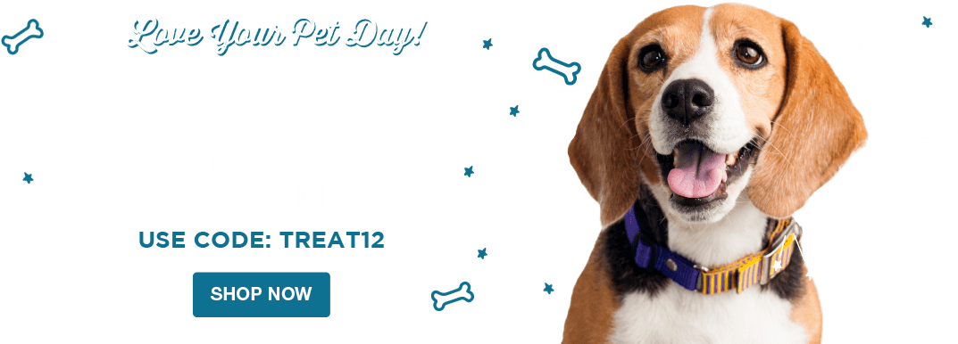 1 - Dog (1140x400), Png Download