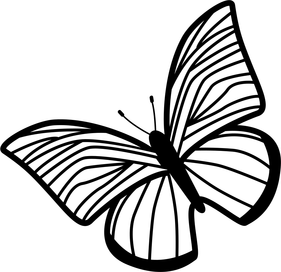 Butterfly Of Thin Striped Wings Rotated To Left Comments - Draw The Hands Of The Clock (981x948), Png Download
