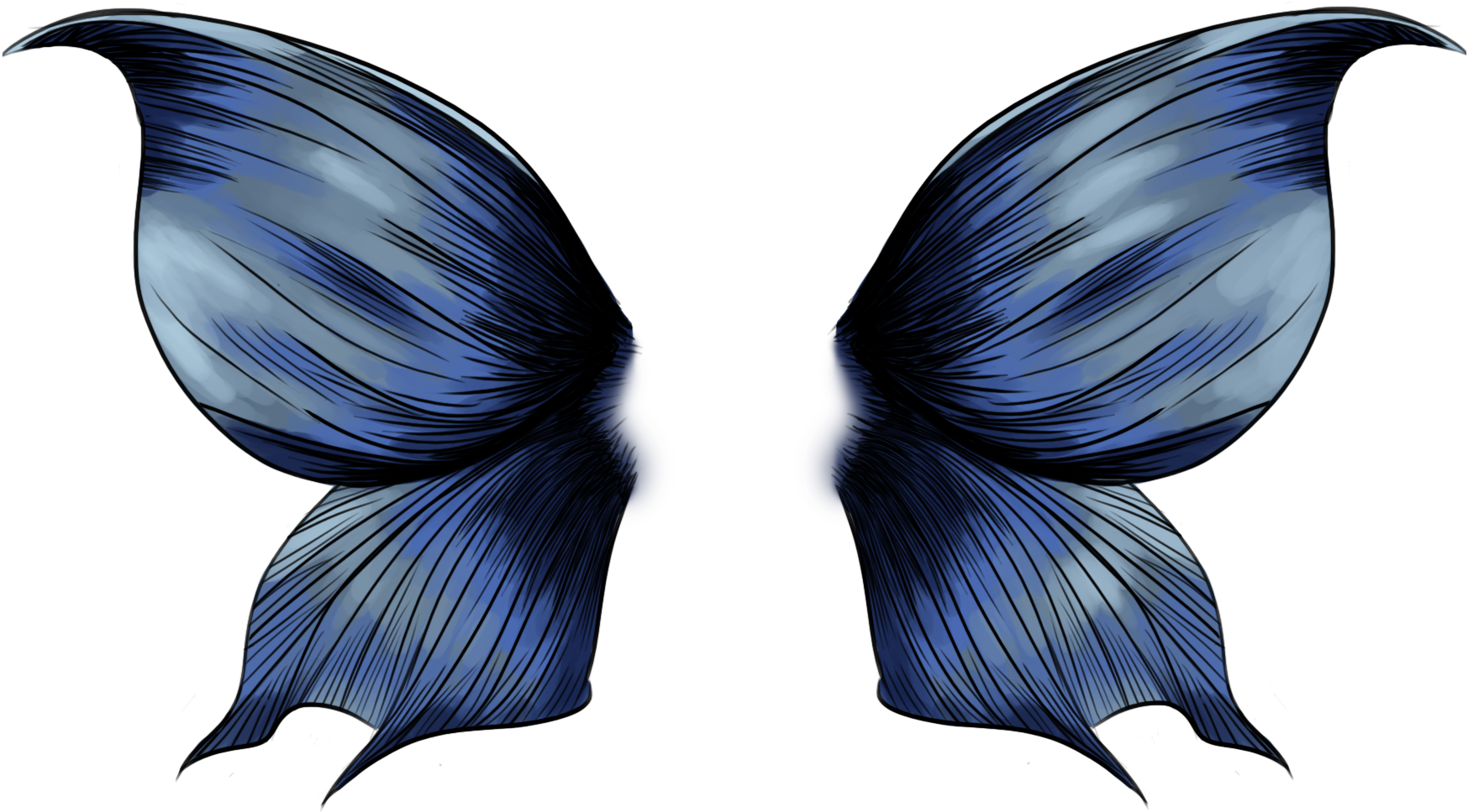 Butterfly Wings - Swallowtail Butterfly (1920x1080), Png Download