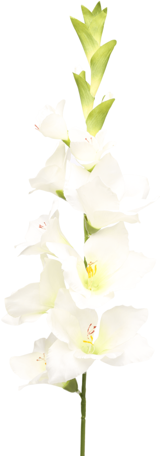 Gladiolus Spray White - Artificial Flower (640x960), Png Download