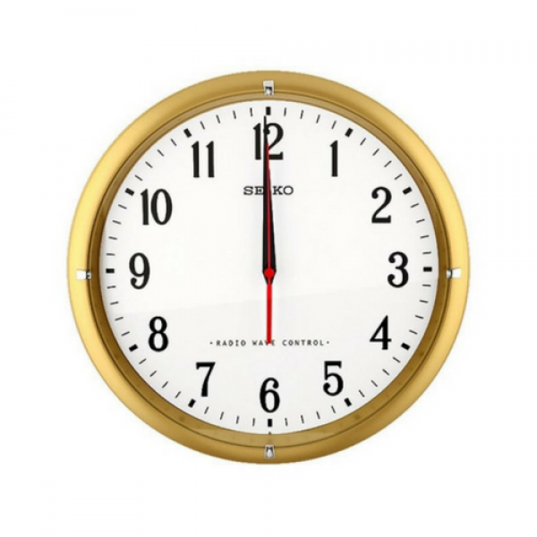 Brand New Genuine Seiko Gold Bezel Radio Controlled - Telling Time Chart (600x600), Png Download