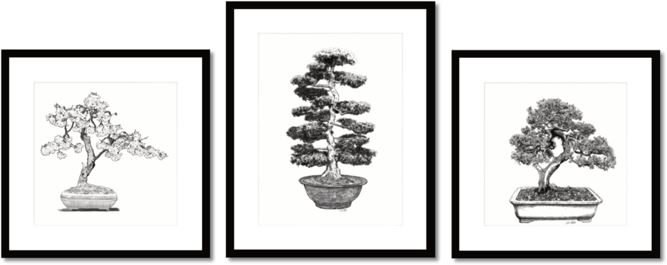 Bonsai Group 1b - Bonsai (1000x420), Png Download