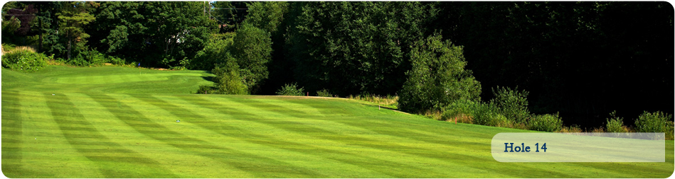 Lawn (980x354), Png Download