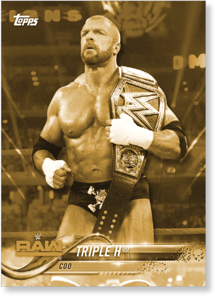 2018 Topps Wwe Triple H - Professional Boxing (700x700), Png Download
