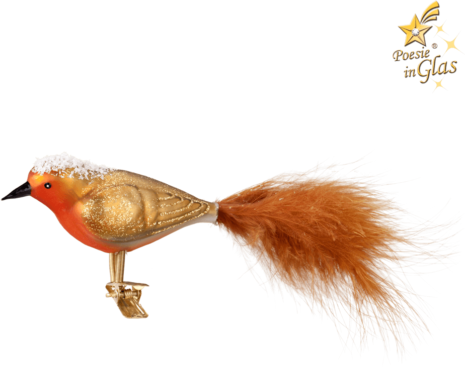 Robin On Clip - European Robin (1000x1000), Png Download