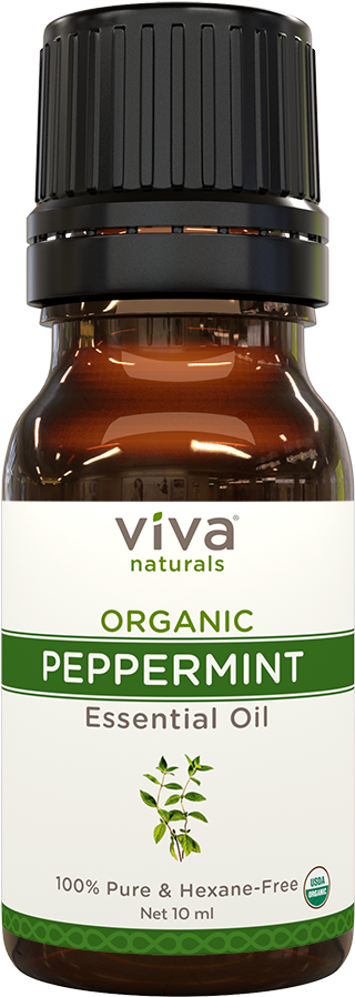 1024 X 1024 0 - Fruit (1024x1024), Png Download