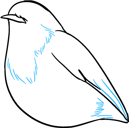How To Draw Robin - Mountain Bluebird (680x678), Png Download