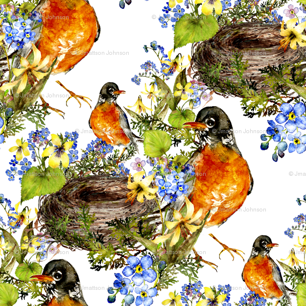 Robin With Nest Watercolor On White Wallpaper - Robin (625x625), Png Download