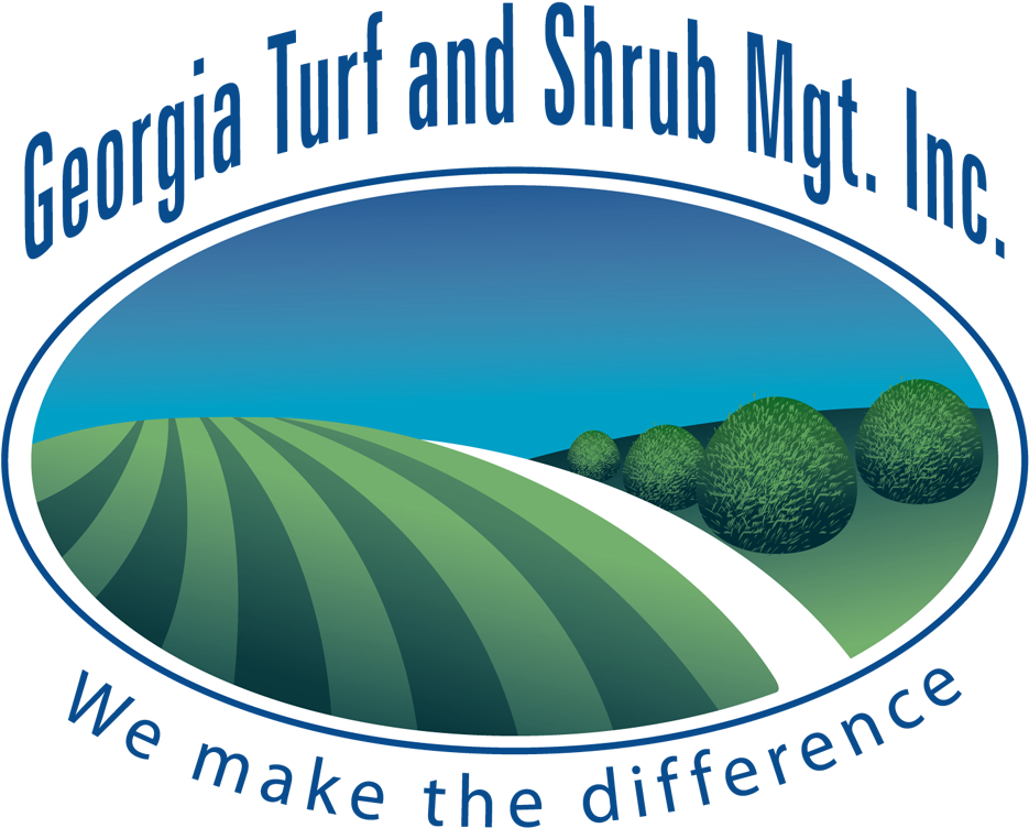 Graphic Design (1000x818), Png Download