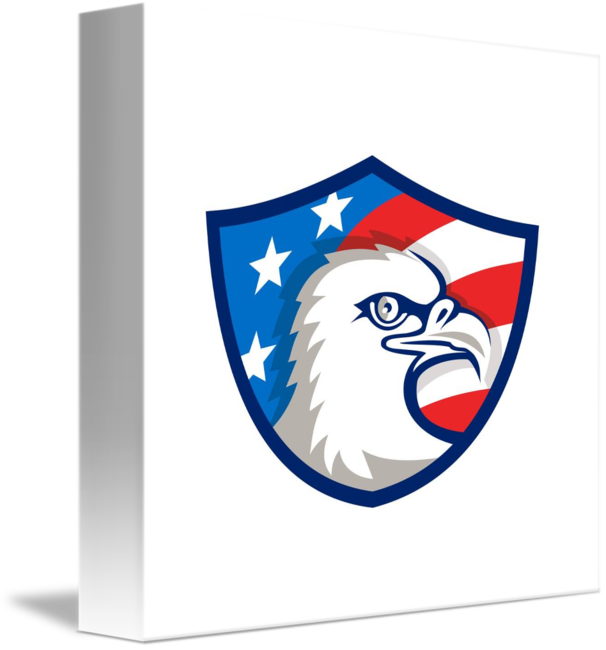 Bald Eagle (606x650), Png Download