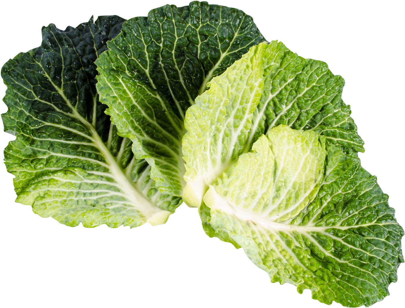 Free Vegetables Images With Transparent Background (1920x1271), Png Download