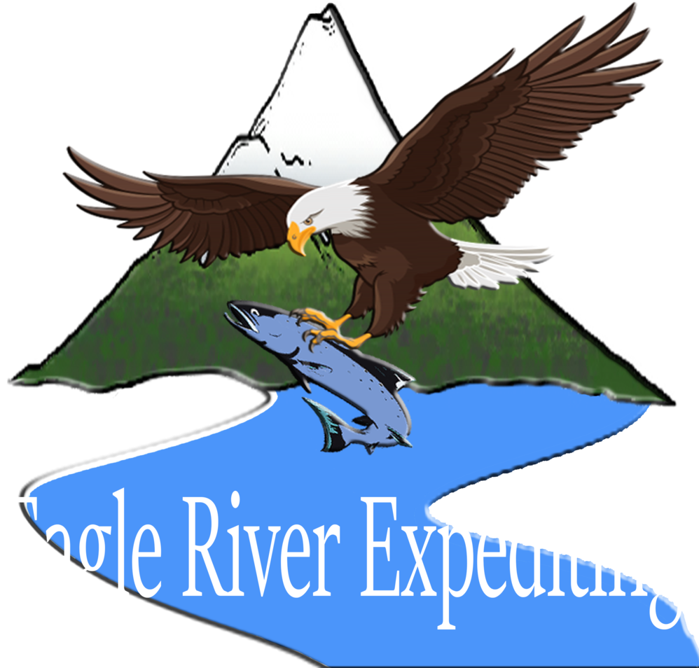 Bald Eagle (998x954), Png Download