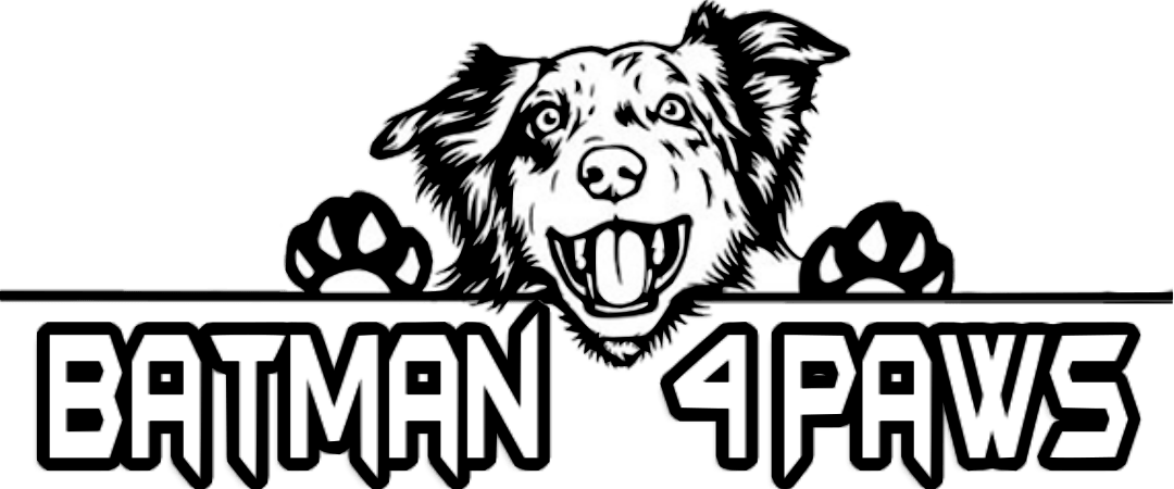 Home - Australian Shepherd Dog Clipart (1080x450), Png Download