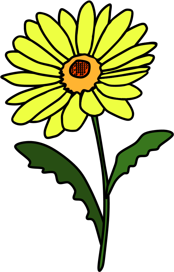 Daisy, Petals, Yellow, Png - Sunflower (816x1056), Png Download