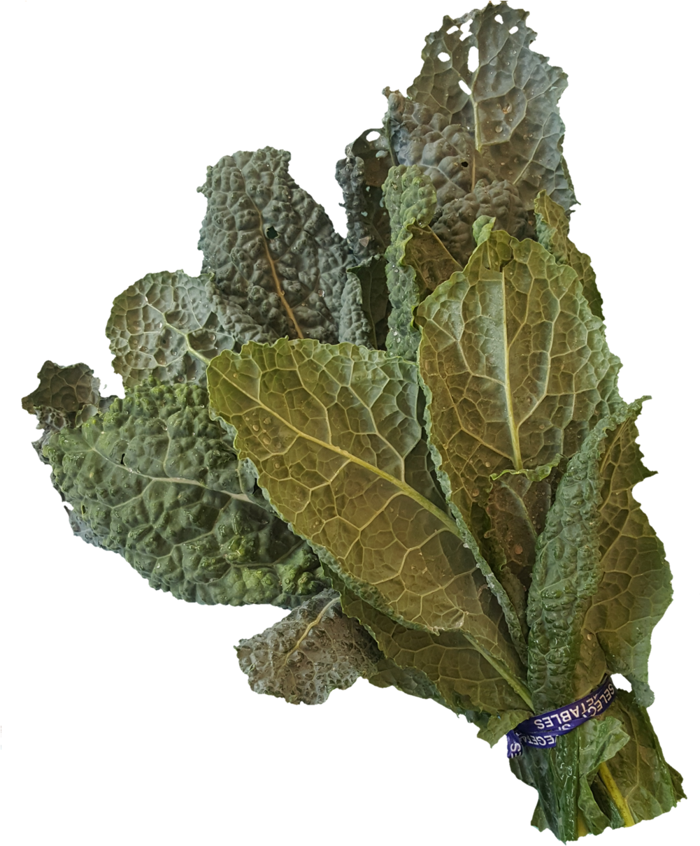 1531938198432 - Lacinato Kale (1000x1220), Png Download