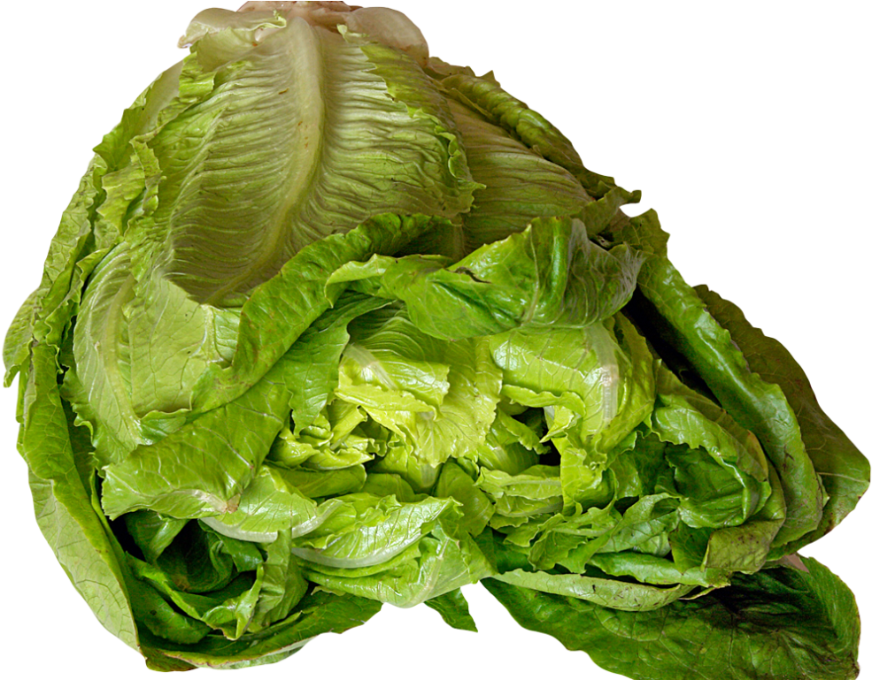 Lettuce Png Image - Lettuce (1024x768), Png Download