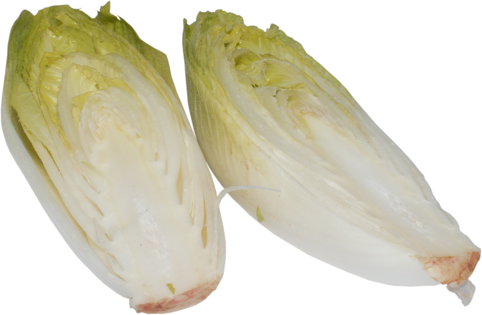 Laminated Poster Chicory Cabbage A Vegetable Vegetables - Chicory Veg (960x628), Png Download