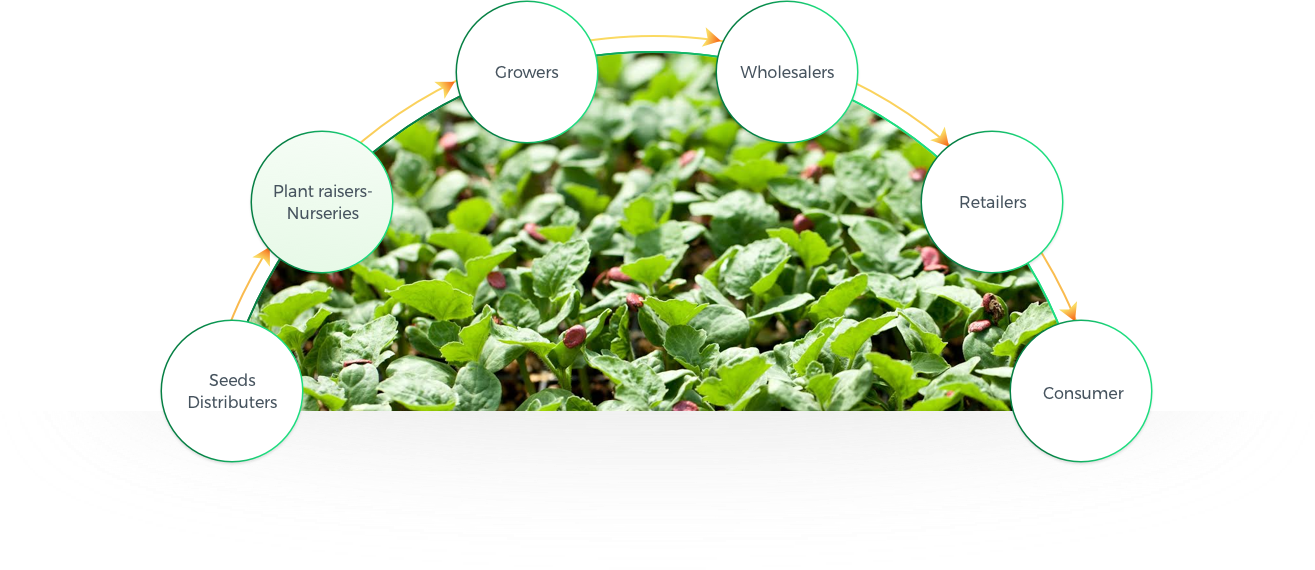 Assuring Top Quality Throughout All Product Cycles - Diagram (1315x570), Png Download