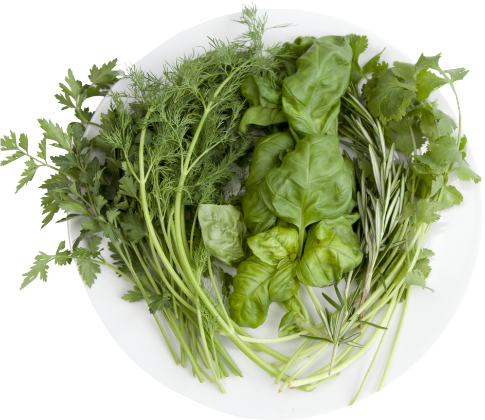 Hydroponic Herblicious Chef (1000x1000), Png Download