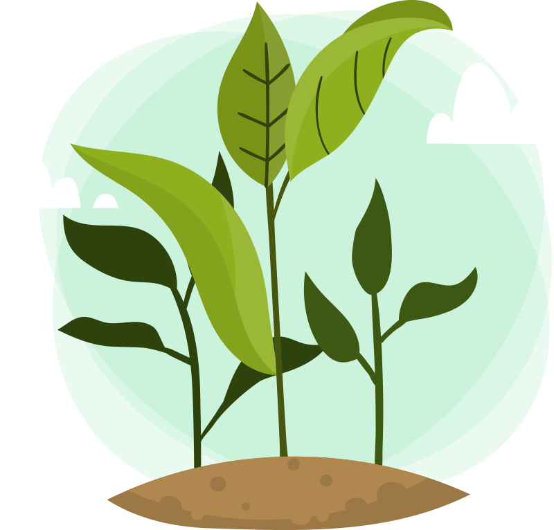 To Picking Up Right Plants For Your Indoor Space And - Huella Hidrica De Un Arbol (800x766), Png Download