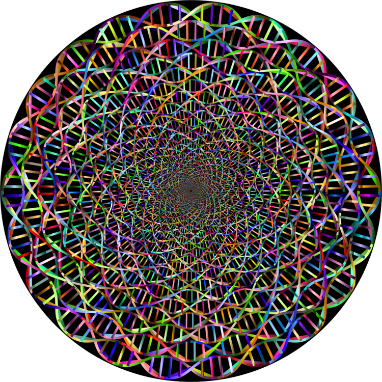 Nucleic Acid Double Helix Computer Icons Line Art Dna - Nucleic Acid Double Helix (750x750), Png Download