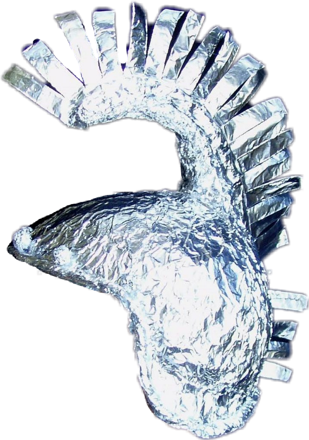 Download Tinfoilhat Sticker Tin Foil Hat Png Image With No Background Pngkey Com