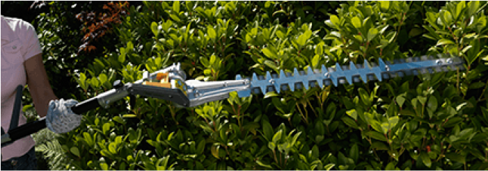 Thetrimmer-700x700 - Grass (700x700), Png Download