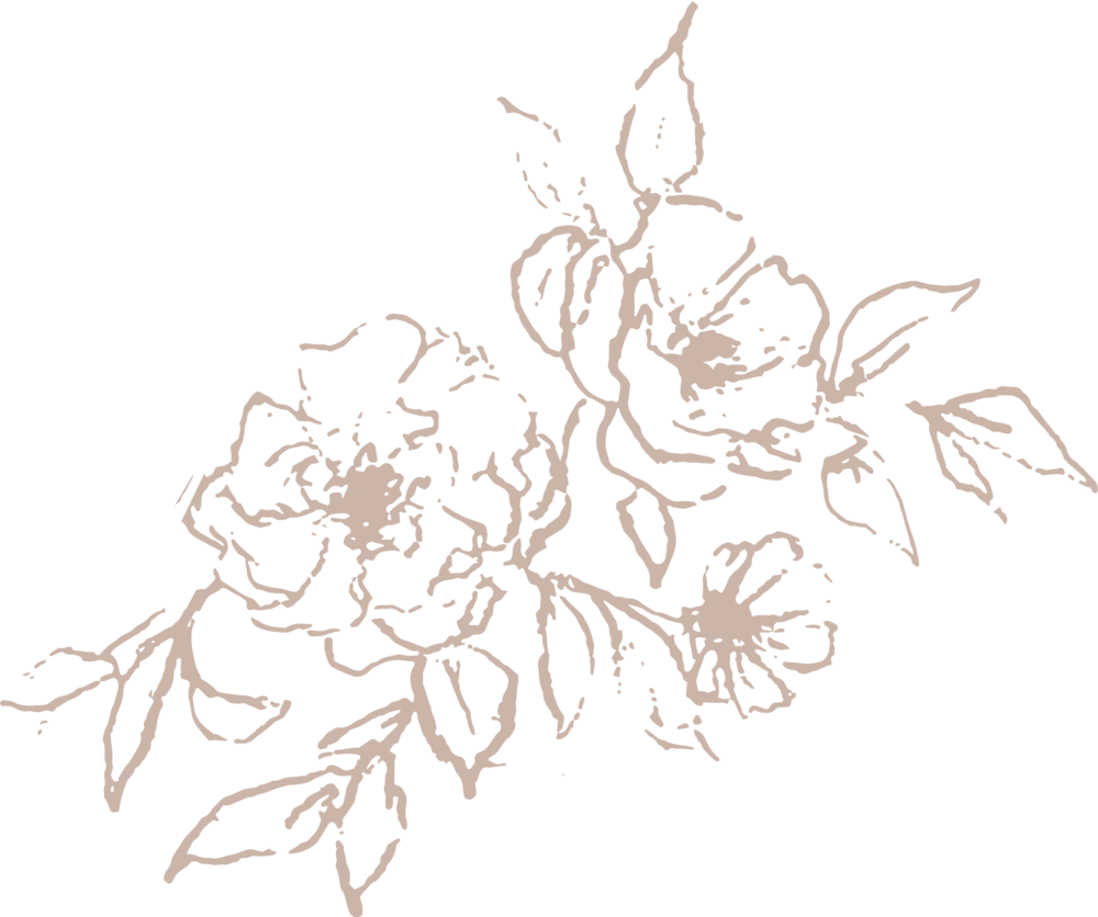 Mini Illustration Light Rose High Res - Honeysuckle (1000x836), Png Download