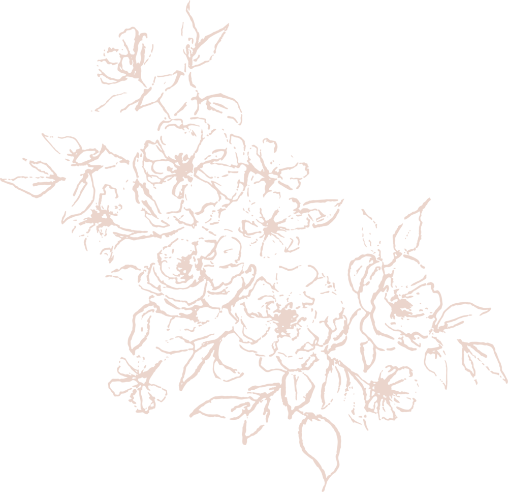 Illustration Light Pink High Res - Sketch (1000x967), Png Download