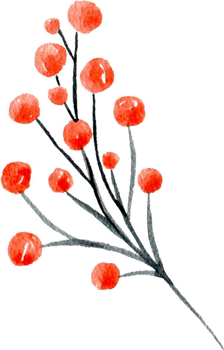 Red Berries - Illustration (761x1186), Png Download